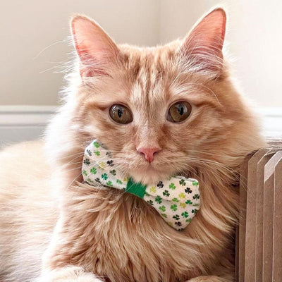 St. Patrick's Day Pet Bow Tie - "Shamrock Shore " - Mini Shamrocks on White w/ Green Center Tie - Detachable Bowtie for Cats + Dogs