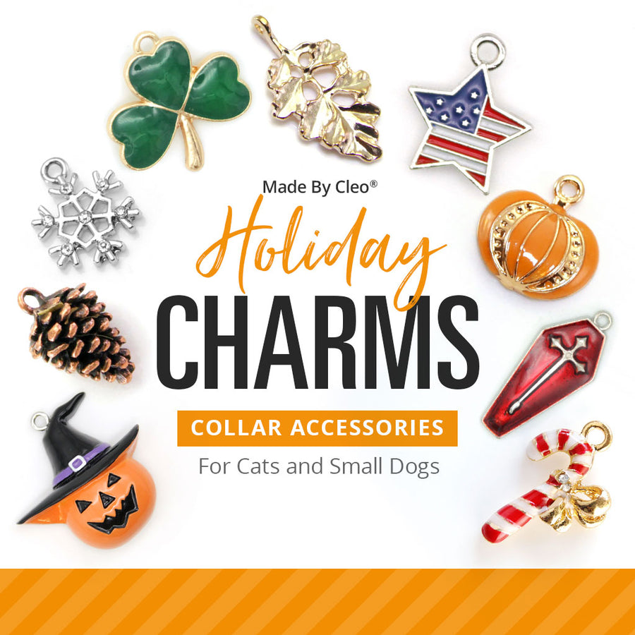 Custom dog collar charms 2025