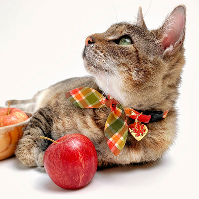 Cat Collar and Bunny Ear Bow Set - "Apple Crisp" - Red Yellow & Green Plaid Cat Collar w/ Matching Bunny Bow Tie / Fall + Thanksgiving / Cat, Kitten + Small Dog Sizes