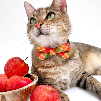 Cat Collar - "Apple Crisp" - Red Yellow Green Plaid Cat Collar / Apple Picking, Harvest, Fall / Breakaway Buckle or Non-Breakaway / Cat, Kitten + Small Dog Sizes