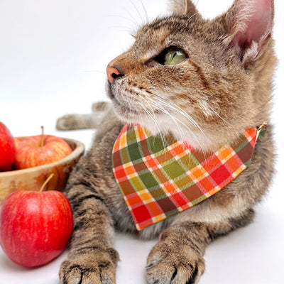 Cat Bandana - "Apple Crisp" - Red Yellow & Green Plaid Bandana for Cat + Small Dog / Fall + Thanksgiving / Slide-On Over the Collar Bandana