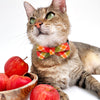 Bow Tie Cat Collar Set - "Apple Crisp" - Green Plaid Cat Collar with Bow Tie / Cat, Kitten, Small Dog Sizes