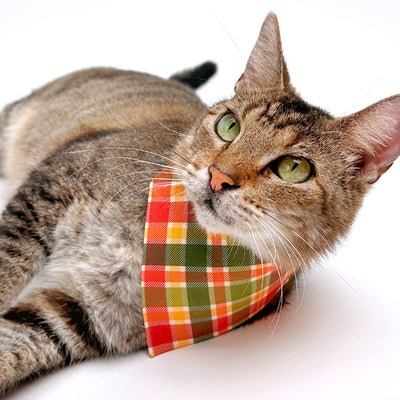 Cat Bandana - "Apple Crisp" - Red Yellow & Green Plaid Bandana for Cat + Small Dog / Fall + Thanksgiving / Slide-On Over the Collar Bandana