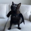 Bat Wing Costume for Cat / Halloween Photo Prop for Pet / Cat Halloween Costume / Fits Cats + Small Dogs