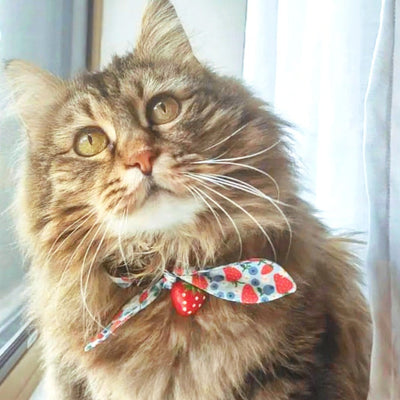 Cat Collar and Bunny Ear Bow Set - "Berry Bramble" - Strawberry & Blueberry Cat Collar w/ Matching Bunny Bow Tie / Summer Fruit, Patriotic, 4th of July, Red & Blue / Cat, Kitten + Small Dog Sizes