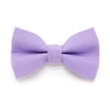 Cat Bow Tie - "Color Collection - Lavender" - Light Purple Cat Collar Bow Tie / Kitten Bow / Dog Bowtie / Wedding / Removable (One Size)