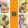 Cat Collar + Flower Set - "Retro Rockets" - Space Cat Collar w/ Scarlet Red Felt Flower (Detachable) / Cat, Kitten + Small Dog Sizes