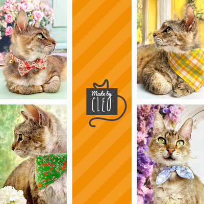 Cat Collar + Flower Set - "Retro Rockets" - Space Cat Collar w/ Scarlet Red Felt Flower (Detachable) / Cat, Kitten + Small Dog Sizes