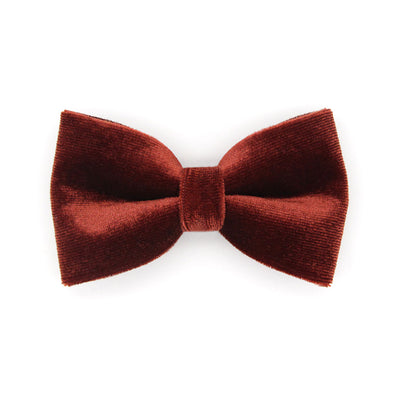 Pet Bow Tie - "Velvet - Mahogany" - Russet Brown Velvet Bow Tie for Cat / For Cats + Small Dogs (One Size)