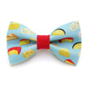 Cat Bow Tie - "Say Cheese" Bowtie / For Cats + Small Dogs / Removable (One Size)