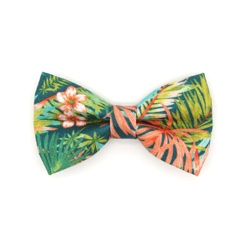 Pet Bow Tie - "Tropicalia" - Palm Leaf Tropical Bow Tie for Cat / Botanical, Summer, Hawaiian / For Cats + Small Dogs (One Size)