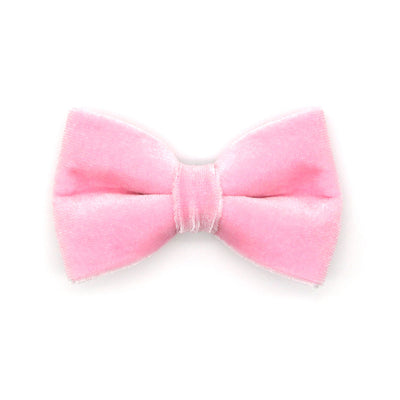 Pet Bow Tie - "Velvet - Ballet Pink" - Classic Light Pink Velvet Cat Bow Tie / For Cats + Small Dogs (One Size)