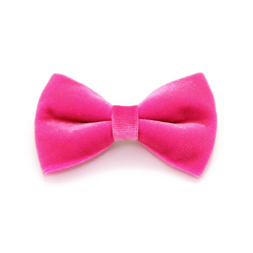 Pet Bow Tie - "Velvet - Azalea" - Magenta Pink Velvet Bowtie / Wedding / For Cats + Small Dogs / Removable (One Size)