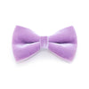 Pet Bow Tie - "Velvet - Lavender" - Light Purple Velvet Bowtie / Wedding / For Cats + Small Dogs / Removable (One Size)