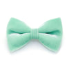 Pet Bow Tie - "Velvet - Mint" - Robin's Egg Velvet Bowtie / Wedding / For Cats + Small Dogs / Removable (One Size)