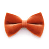 Pet Bow Tie - "Velvet - Roasted Pumpkin" - Burnt Orange Velvet Bowtie / Fall & Thanksgiving / Wedding / For Cats + Small Dogs / Removable (One Size)