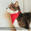 Cat Bandana - "Chasing Ghosts" - Black Halloween Ghost Bandana for Cat + Small Dog / Slide-On Over the Collar Bandana