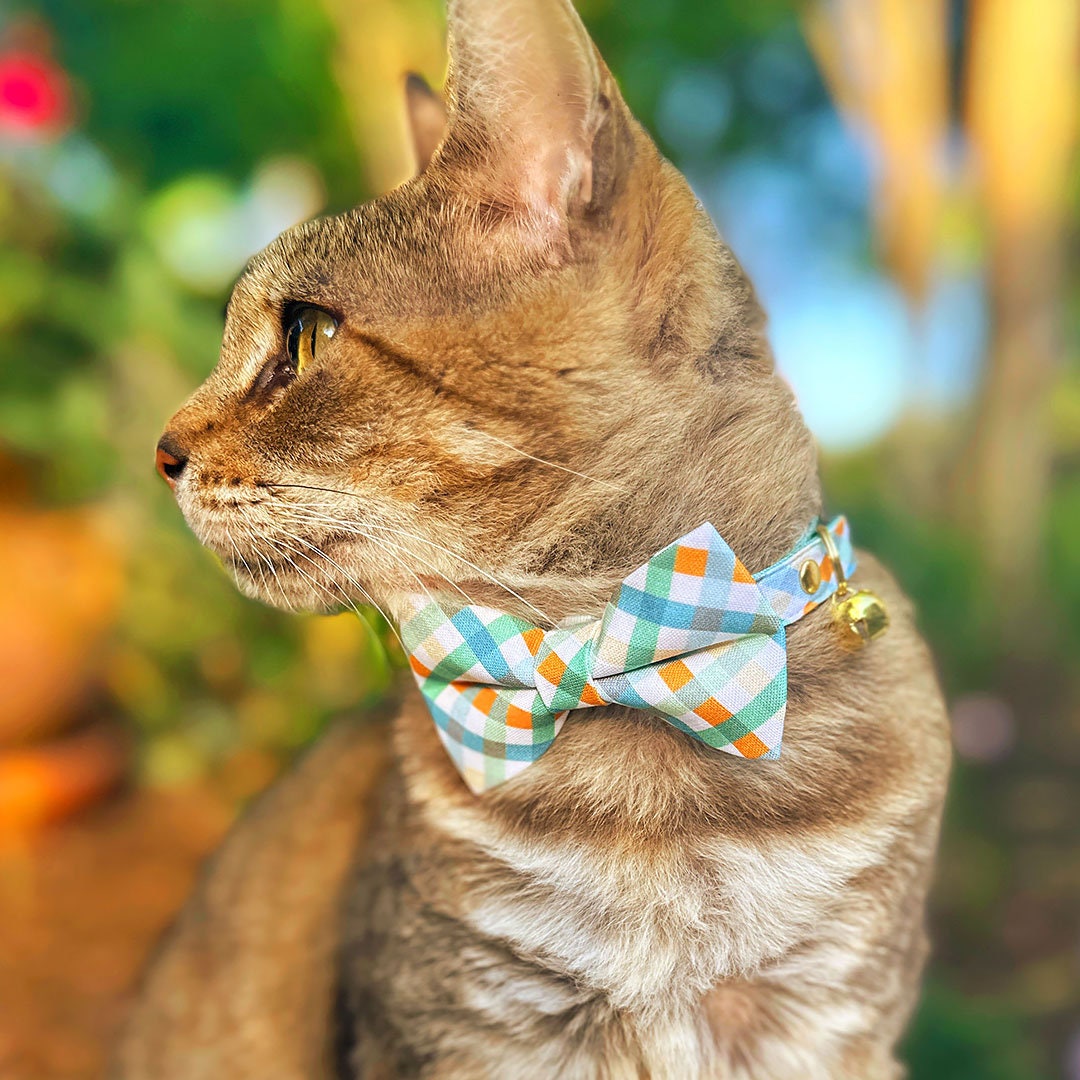 Pet Bow Tie Seashore Ocean Blue Mint Plaid Cat Bow Tie Sprin