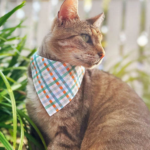 Pet Bandana - "Seashore" - Blue & Mint Plaid Bandana for Cat + Small Dog / Spring, Summer, Coastal, Ocean / Slide-on Bandana / Over-the-Collar (One Size)