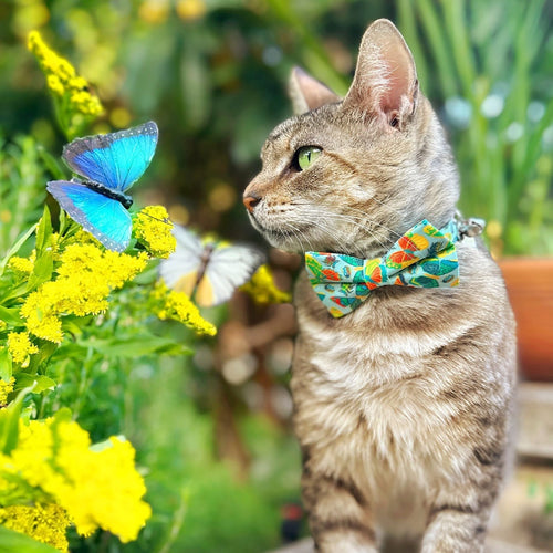 Bow Tie Cat Collar Set - "Bugs & Butterflies" - Sky Blue Insect + Butterfly Cat Collar w/ Matching Bowtie / Spring + Summer / Cat, Kitten, Small Dog Sizes