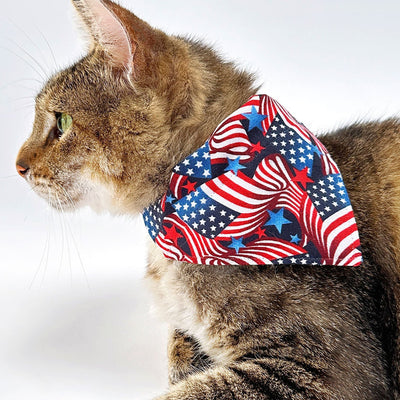 Cat Collar - "Stars & Stripes" - American USA Flag Patriotic Cat Collar / Independence Day, Red White & Blue 4th of July Cat Collar / Breakaway Buckle or Non-Breakaway / Cat, Kitten + Small Dog Sizes