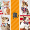 Pet Bow Tie - "Stars & Stripes" - Patriotic Bow Tie Cat Bow Tie / Independence Day, Election Day, USA Flag / For Cats + Small Dogs (One Size)