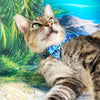 Tropical Cat Bow Tie - "Blue Lagoon" - Blue Bow Tie for Cat / Summer, Beach, Hawaiian, Tiki, Shark, Cool / Cat + Small Dog