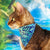 Tropical Cat Bandana - "Blue Lagoon" - Blue Bandana for Cat + Small Dog / Boy Cat, Beach, Ocean, Tiki, Summer, Hawaiian / Slide-On Over the Collar Bandana