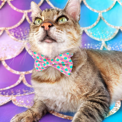 Mermaid Cat Bow Tie - "Mermaid Song" - Pink, Teal & Purple Fish Scales Bow Tie for Cat / Ocean, Lavender, Seashell / Cat + Small Dog Bowtie