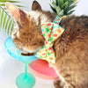 Tropical Cat Bow Tie - "Palms & Popsicles - Green" - Palm Trees Bow Tie for Cat / Pastel Summer Beach Popsicle / Cat + Small Dog Bowtie