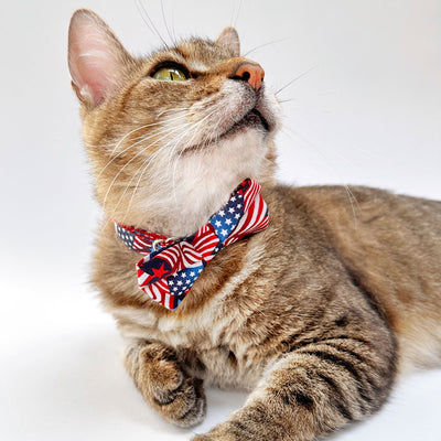 Bow Tie Cat Collar Set - "Stars & Stripes" - Patriotic USA American Flag Cat Collar w/ Matching Bowtie / Independence Day, 4th of July, Red White & Blue / Cat, Kitten, Small Dog Sizes