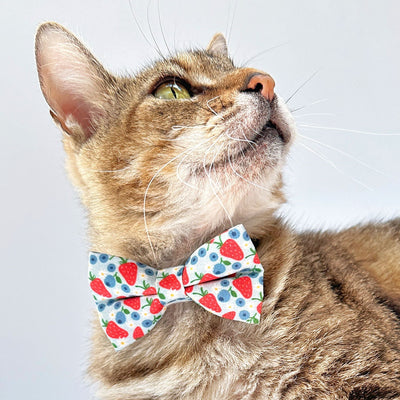Cat Collar - "Berry Bramble" - Blueberry Cat Collar, Strawberry Blueberries Summer Fruit, Red Blue Patriotic Cat Collar / Breakaway Buckle or Non-Breakaway / Cat, Kitten + Small Dog Sizes
