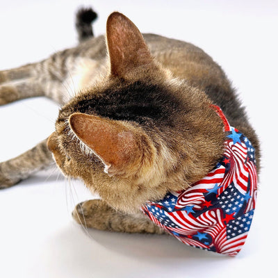 Patriotic Pet Bandana - "Stars & Stripes" - 4th of July USA American Flag Bandana for Cat + Small Dog / Independence Day, Election Day / Slide-on Bandana / Over-the-Collar (One Size)