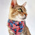 Patriotic Pet Bandana - "Stars & Stripes" - 4th of July USA American Flag Bandana for Cat + Small Dog / Independence Day, Election Day / Slide-on Bandana / Over-the-Collar (One Size)