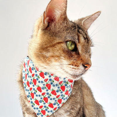 Cat Bandana - "Berry Bramble" - Blueberry Bandana for Cat + Small Dog/Summer, Patriotic, Blue, 4th of July, Strawberry Fruit Cat Bandana