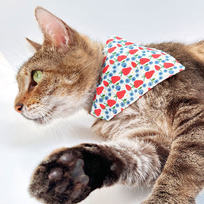 Cat Bandana - "Berry Bramble" - Blueberry Bandana for Cat + Small Dog/Summer, Patriotic, Blue, 4th of July, Strawberry Fruit Cat Bandana