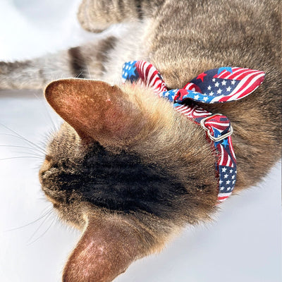 Patriotic Cat Collar and Bunny Ear Bow Set - "Stars & Stripes" - 4th of July Cat Collar w/ Matching Bunny Bow Tie / Independence Day USA Flag / Cat, Kitten + Small Dog Sizes
