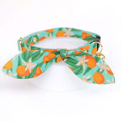 Cat Collar and Bunny Ear Bow Set - "Clementine Blossom" - Tropical Citrus Fruit Clementine Cat Collar with Matching Bunny Bow Tie / Summer / Cat, Kitten + Small Dog Sizes