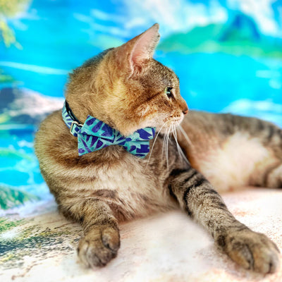 Tropical Bowtie Cat Collar Set - "Blue Lagoon" - Hawaiian Blue Cat Collar with Bow Tie / Tiki, Ocean, Beach, Summer / Cat, Kitten, Small Dog Sizes