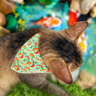 Fish Cat Bandana - "Koi Pond" - Goldfish Green Bandana for Cat + Small Dog / Carp, Asian, Japanese / Slide-On Over the Collar Bandana