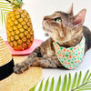 Tropical Cat Bandana - "Palms & Popsicles - Green" - Popsicle Palm Tree Bandana for Cat + Small Dog / Summer, Ice Cream / Slide-On Over the Collar Bandana