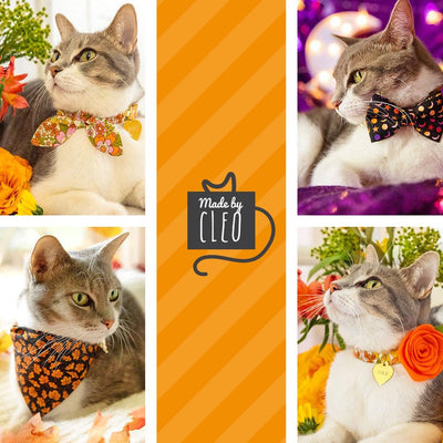 Fall Cat Collar + Flower Set - "Autumn Night" - Maple Leaf Black Orange Cat Collar w/ Orange Felt Flower (Detachable) / Cat, Kitten + Small Dog Sizes