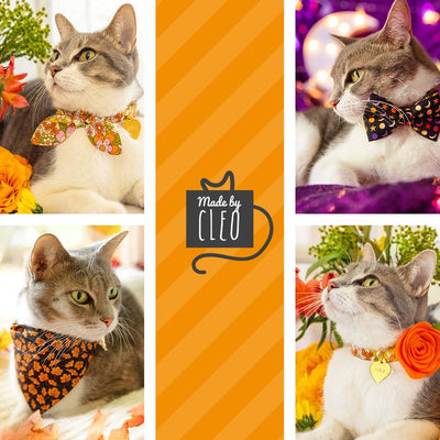 Cat Collar + Flower Set - "Groovy Garden" - Retro Floral Cat Collar w/ Orange Felt Flower (Detachable) / Cat, Kitten + Small Dog Sizes