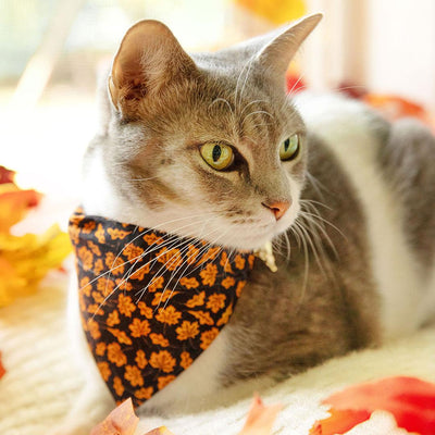 Cat Bandana - "Autumn Night" - Black Orange Maple Leaf Bandana for Cat + Small Dog / Fall, Halloween, Thanksgiving / Slide-On Over the Collar Bandana