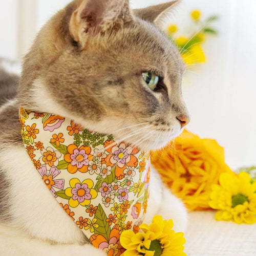 Retro Cat Bandana - "Groovy Garden" - Yellow 60s Floral Bandana for Cat + Small Dog / Fall, Spring, Summer / Slide-On Over the Collar Bandana