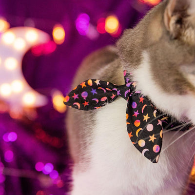 Cat Collar and Bunny Ear Bow Set - "Cosmic" - Celestial Stars and Moon Cat Collar w/ Matching Bunny Bow Tie / Halloween, Witchy, Moon Phases, Night Sky, Space / Cat, Kitten + Small Dog Sizes