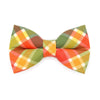 Cat Bow Tie - "Apple Crisp" - Green Plaid Bow Tie for Cat / Fall, Autumn, Thanksgiving / Cat + Small Dog Bowtie