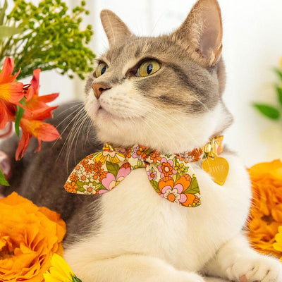 Cat Collar and Bunny Ear Bow Set - "Groovy Garden" - Yellow Retro Floral Cat Collar w/ Matching Bunny Bow Tie / Fall, Spring, Summer / Cat, Kitten + Small Dog Sizes