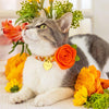 Cat Collar + Flower Set - "Groovy Garden" - Retro Floral Cat Collar w/ Orange Felt Flower (Detachable) / Cat, Kitten + Small Dog Sizes