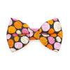 Cat Bow Tie - "Pumpkin Toss" - Orange Pink Pumpkin Bow Tie for Cat / Fall + Halloween / Cat + Small Dog Bowtie